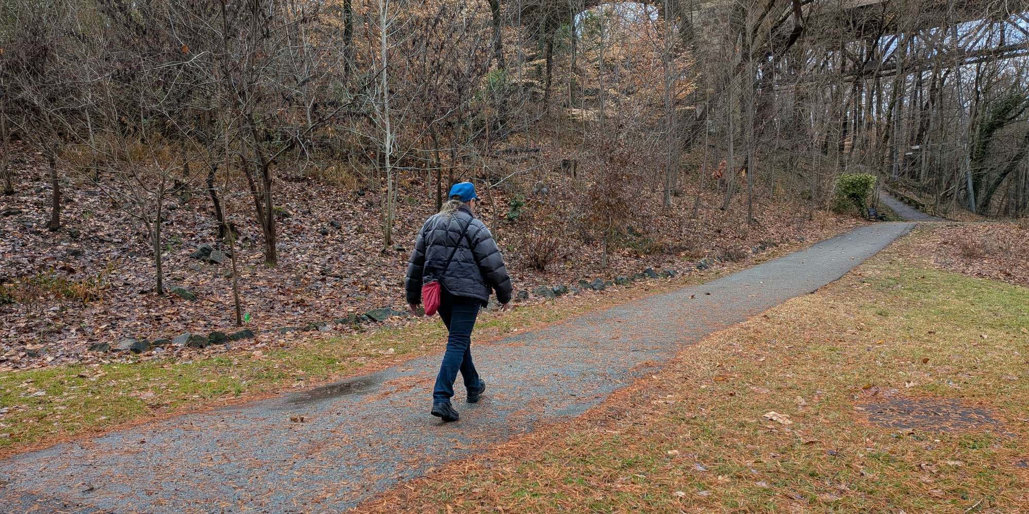 Second image to compare