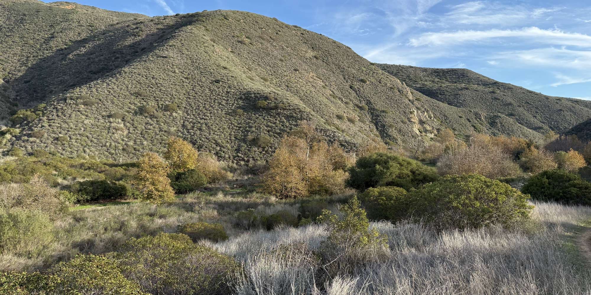 Second image to compare