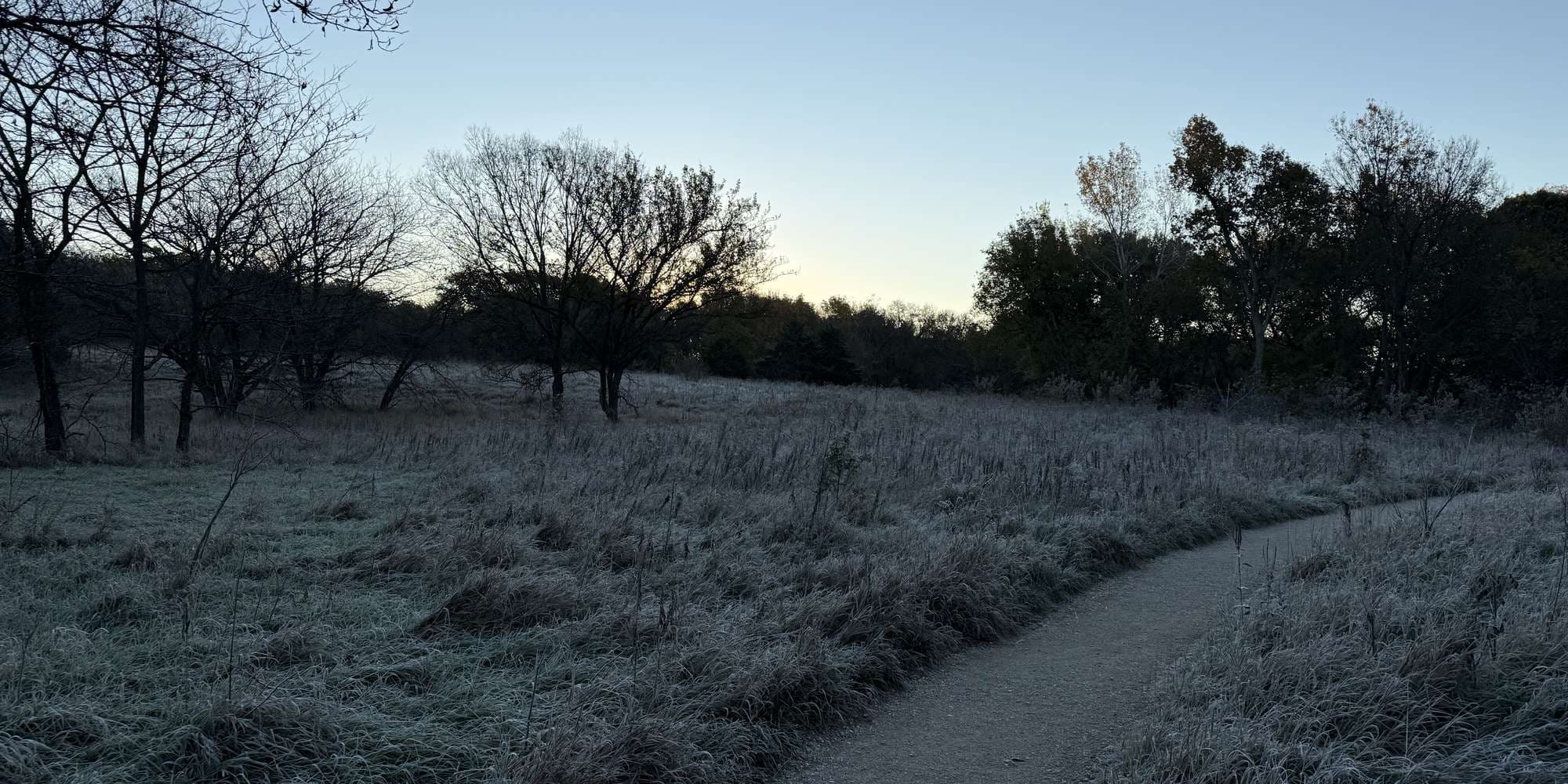 Second image to compare