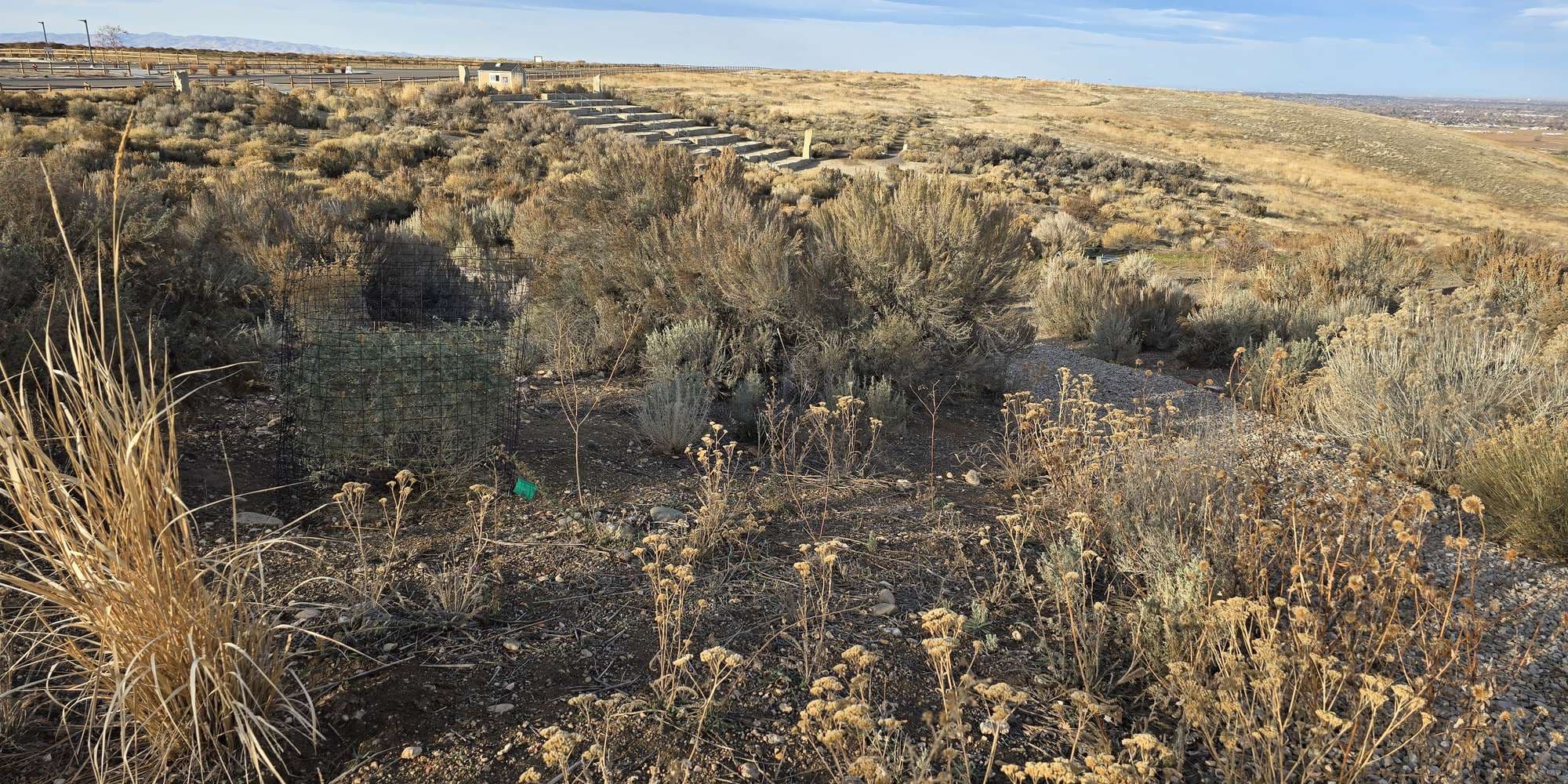 Second image to compare