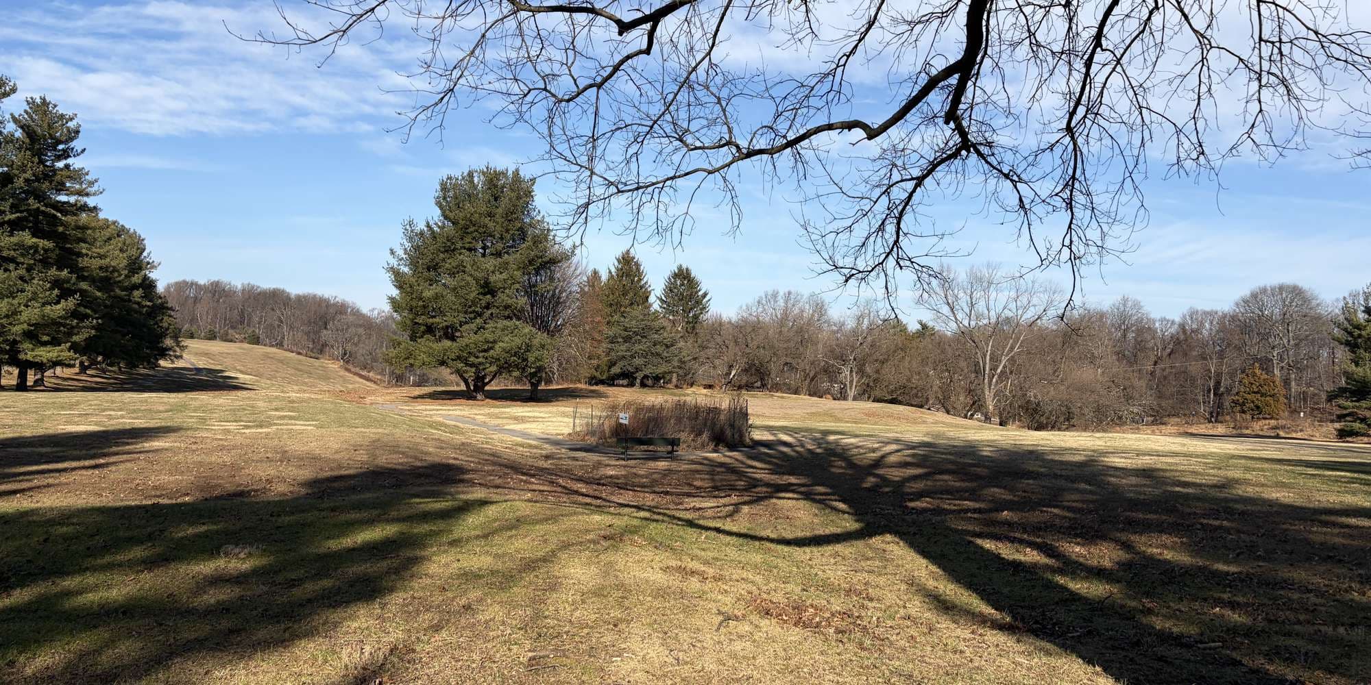 Second image to compare