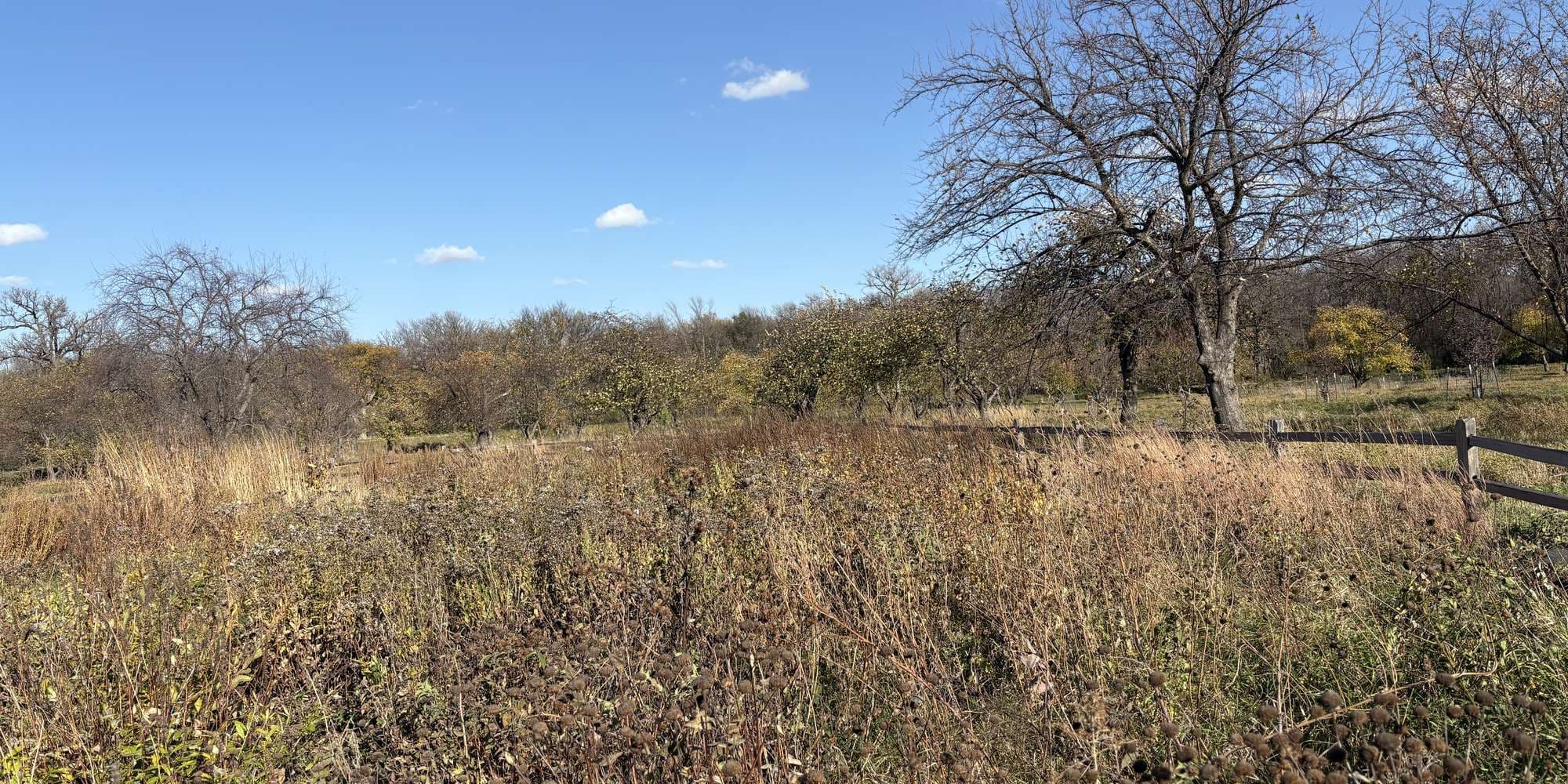 Second image to compare