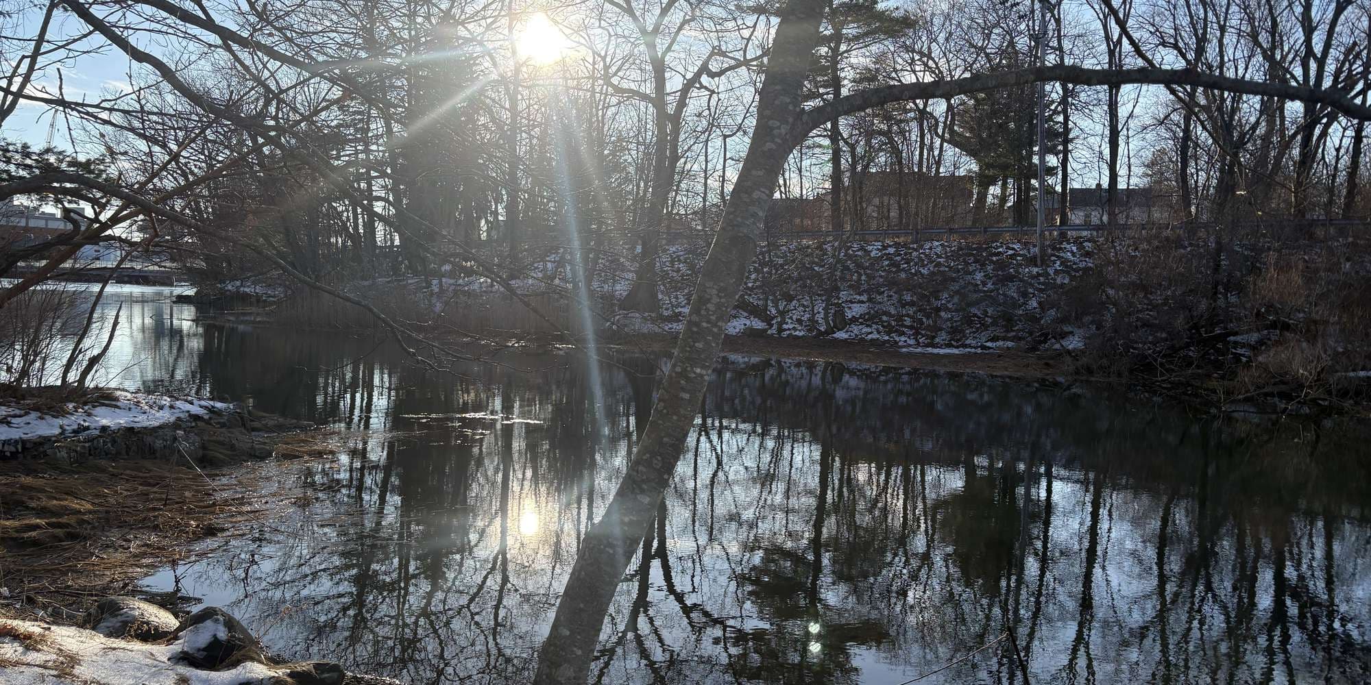 Second image to compare