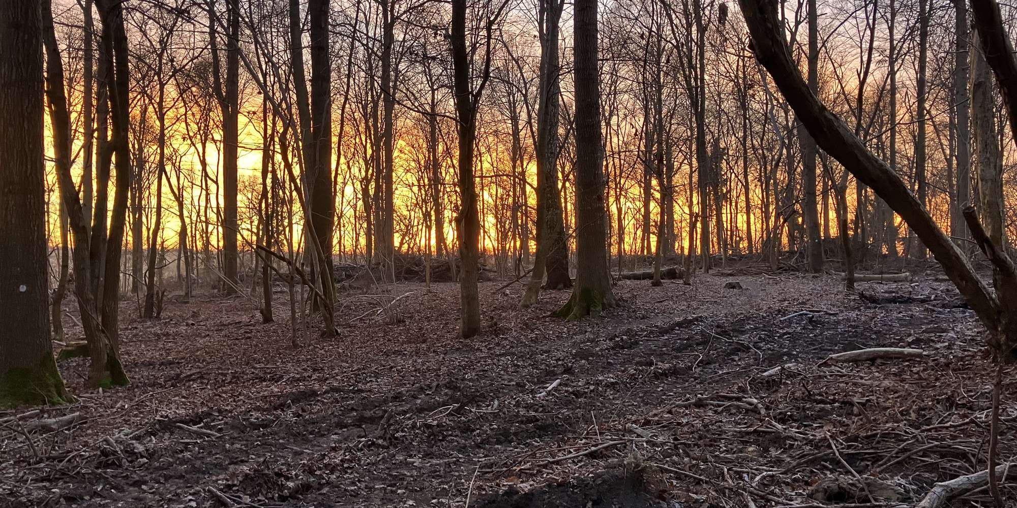 Second image to compare