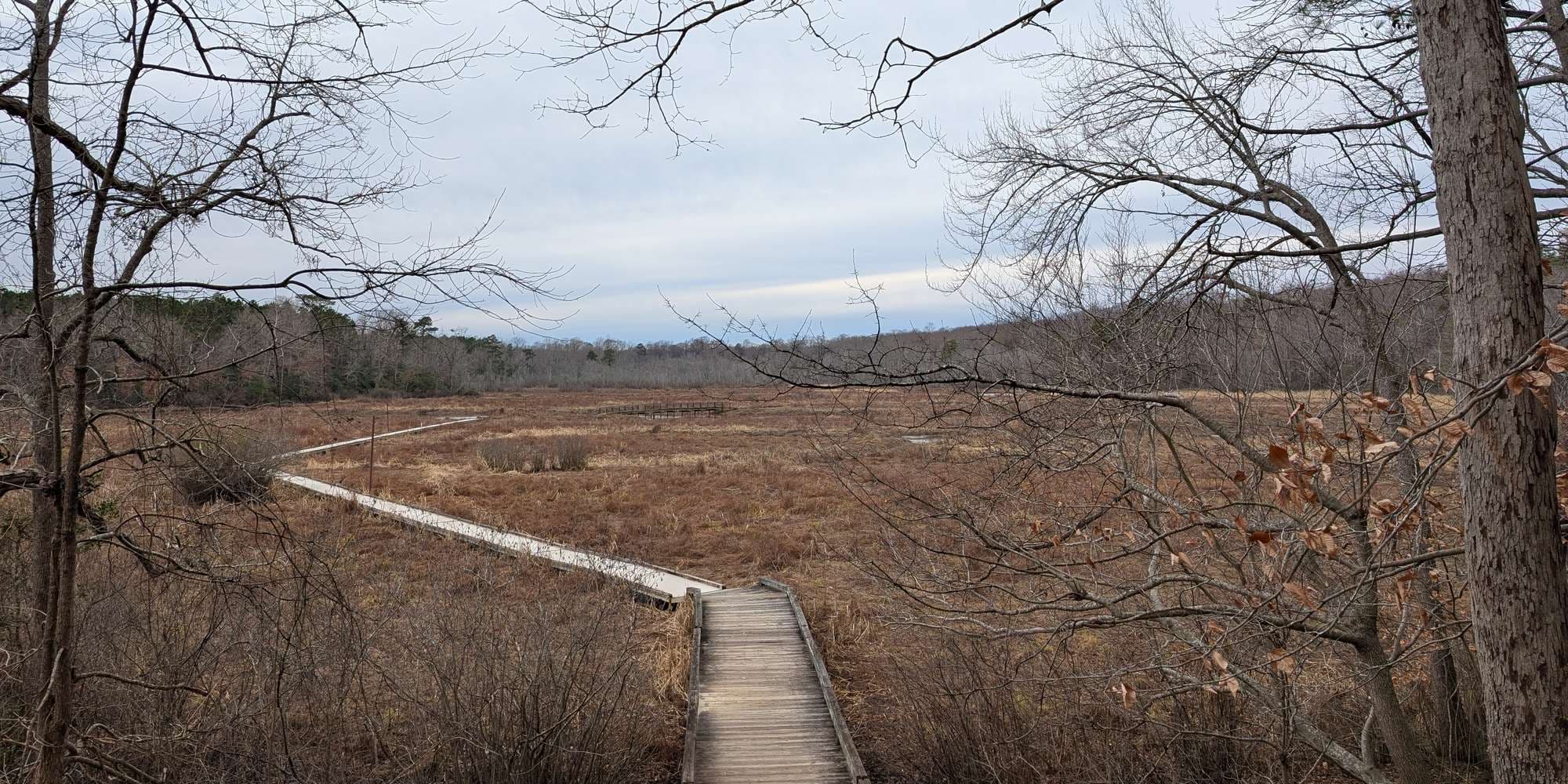 Second image to compare