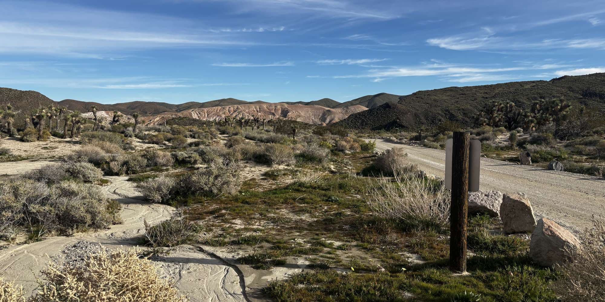 Second image to compare