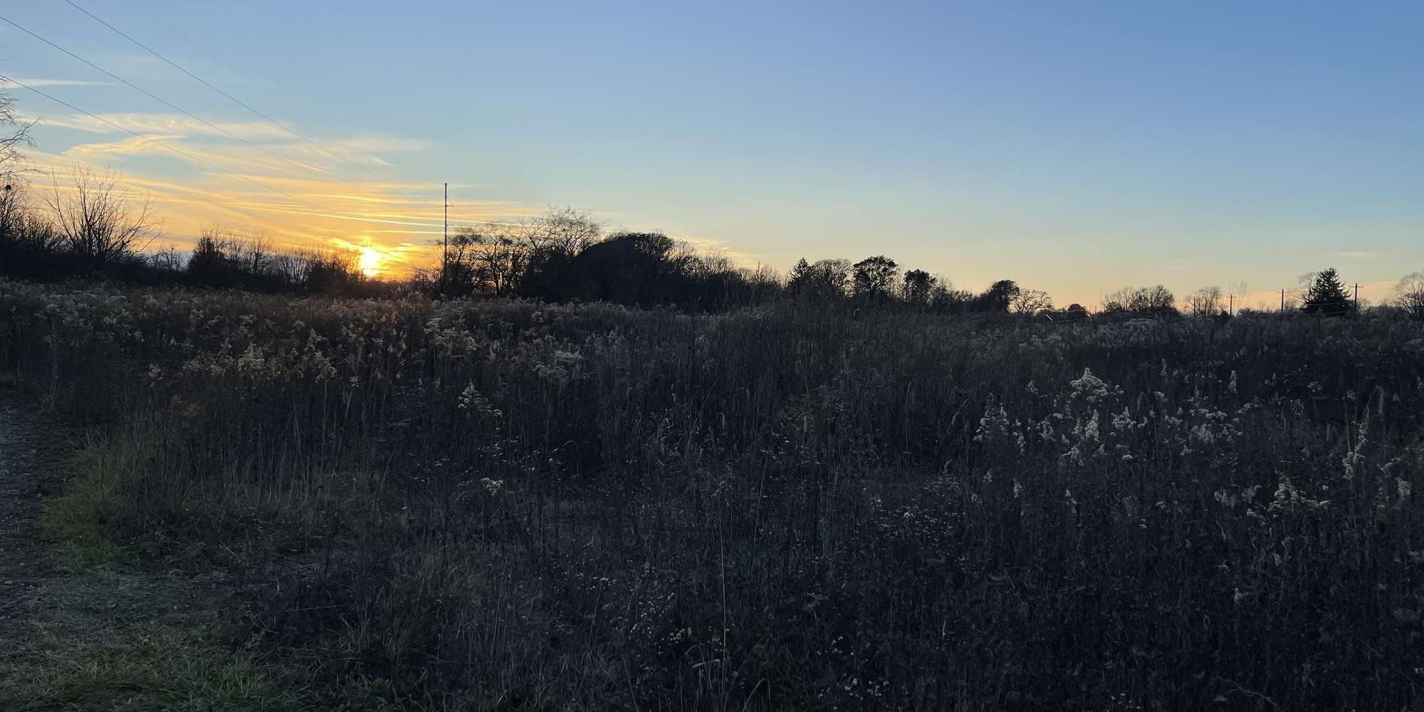 Second image to compare