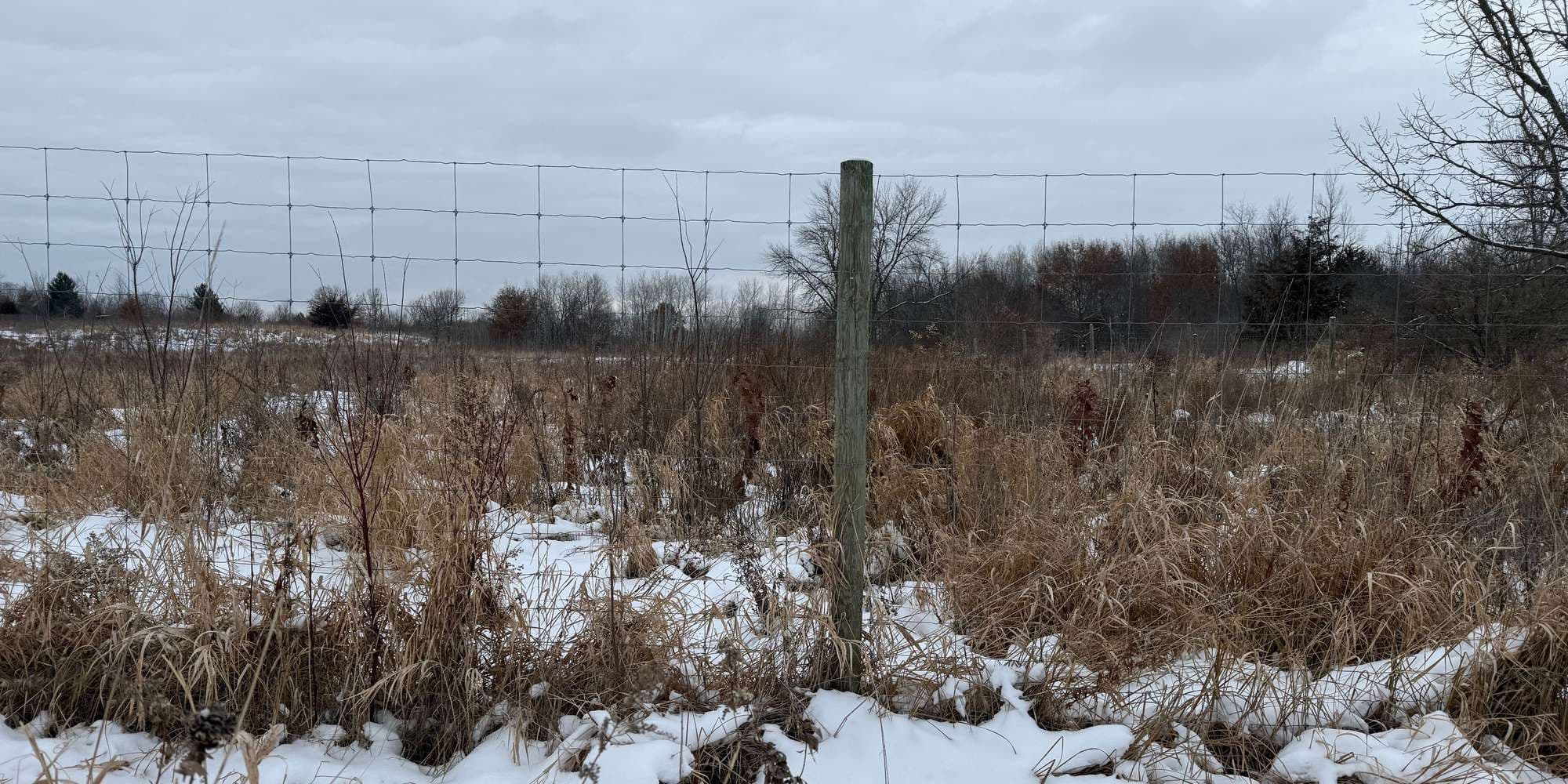 Second image to compare