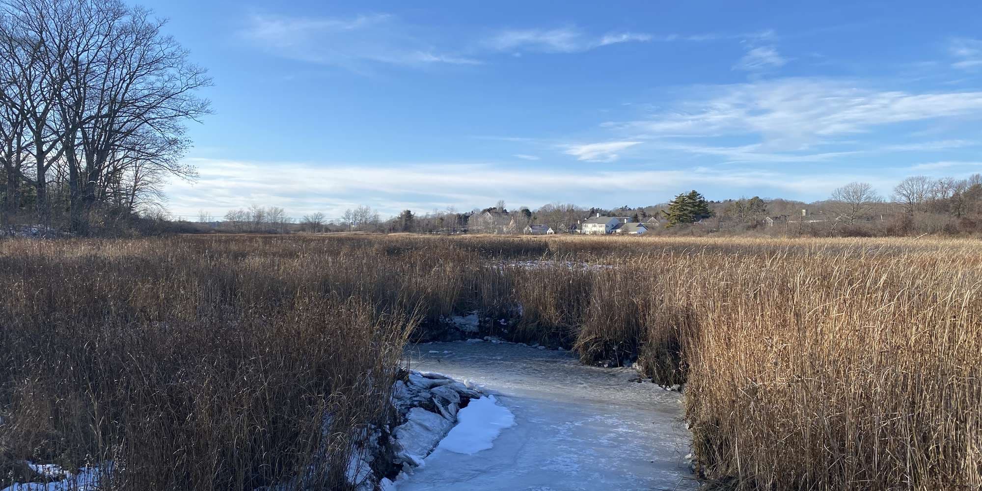 Second image to compare