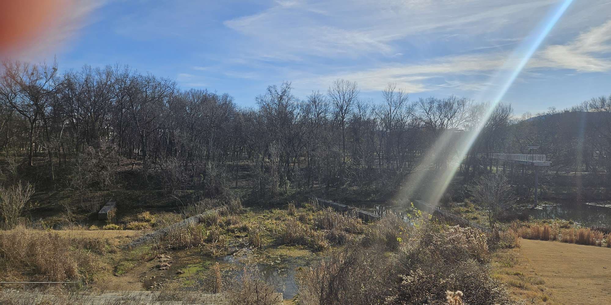 Second image to compare