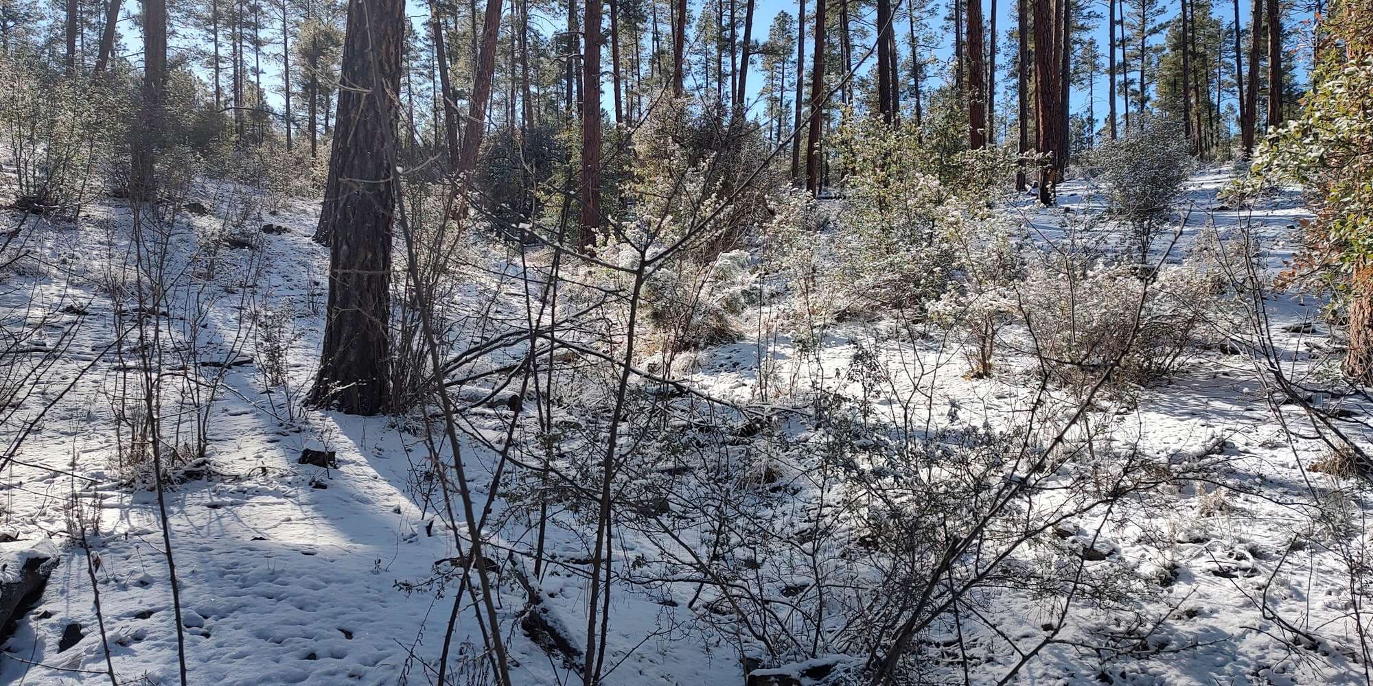 Second image to compare