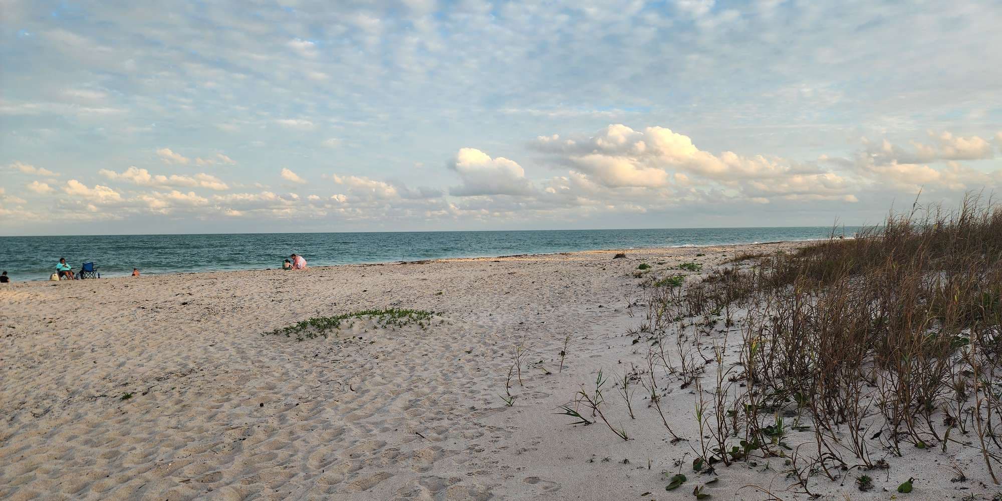 Second image to compare