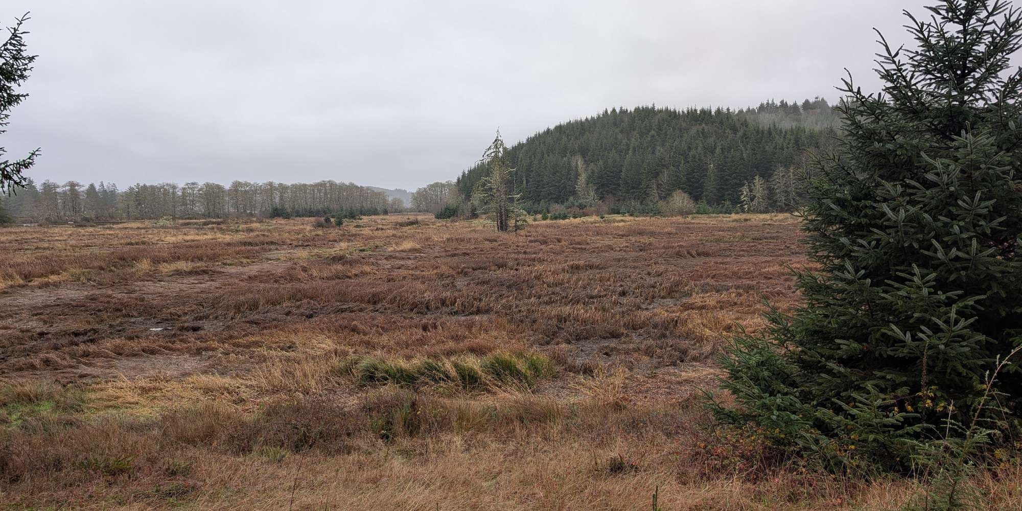 Second image to compare