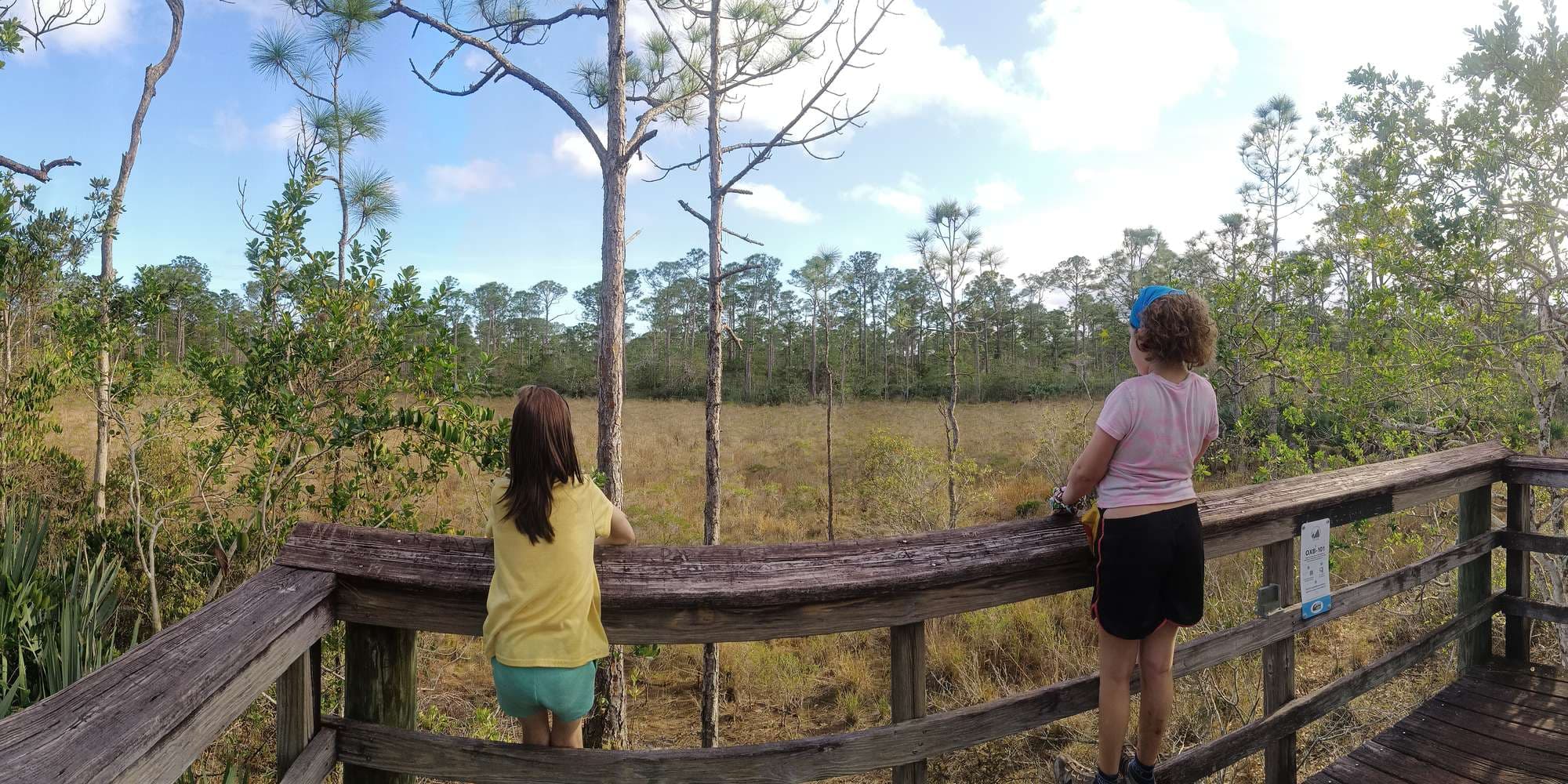 Second image to compare