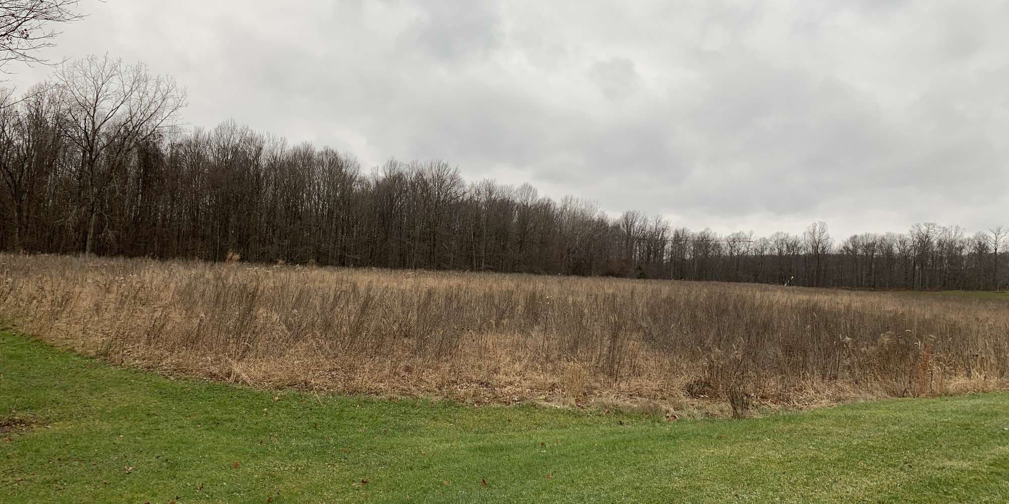 Second image to compare