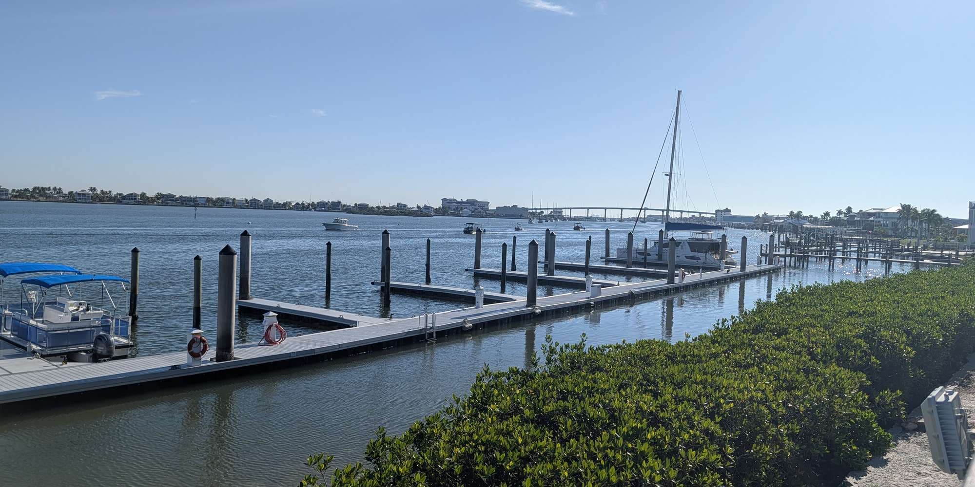 Second image to compare