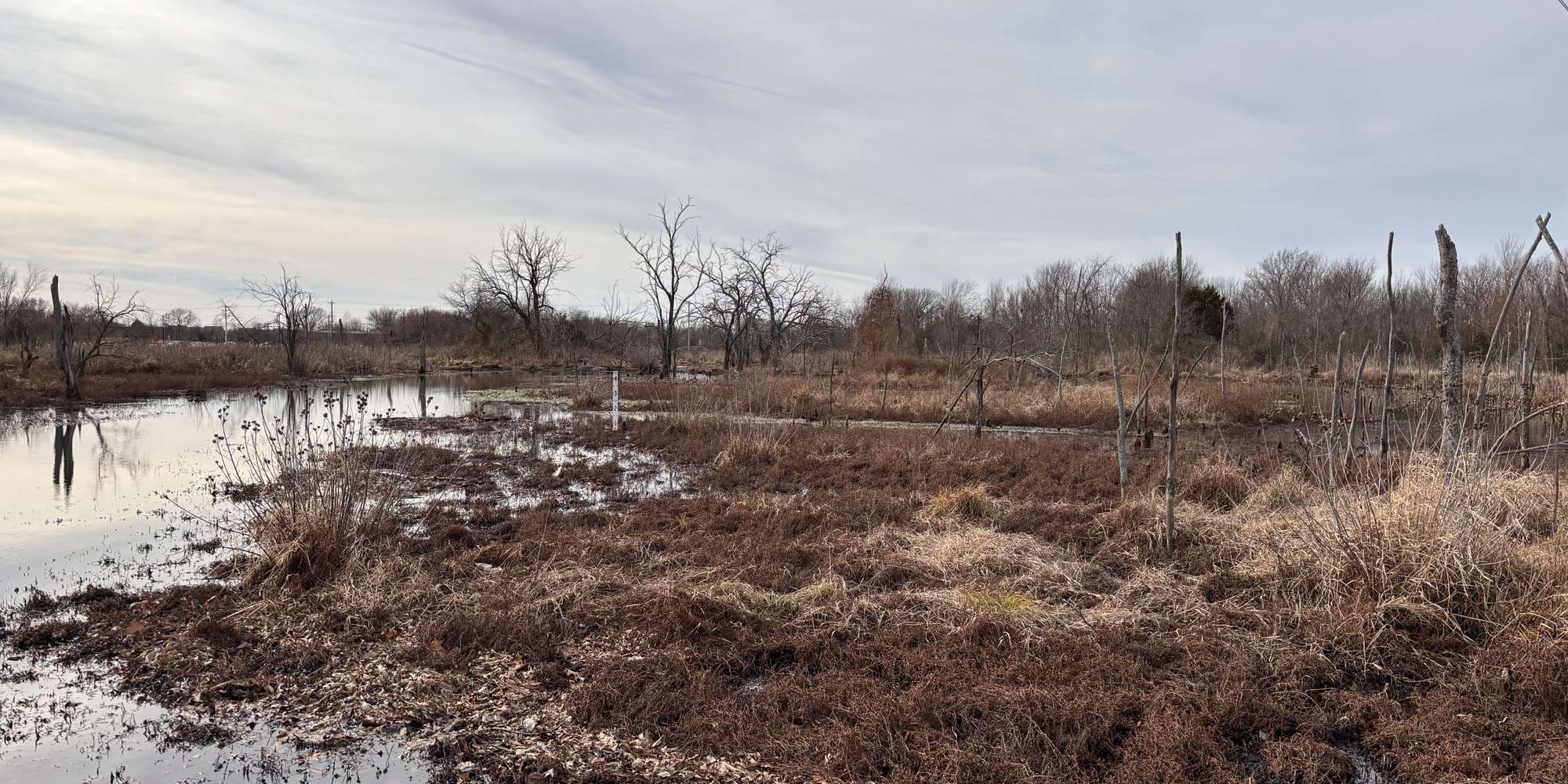 Second image to compare