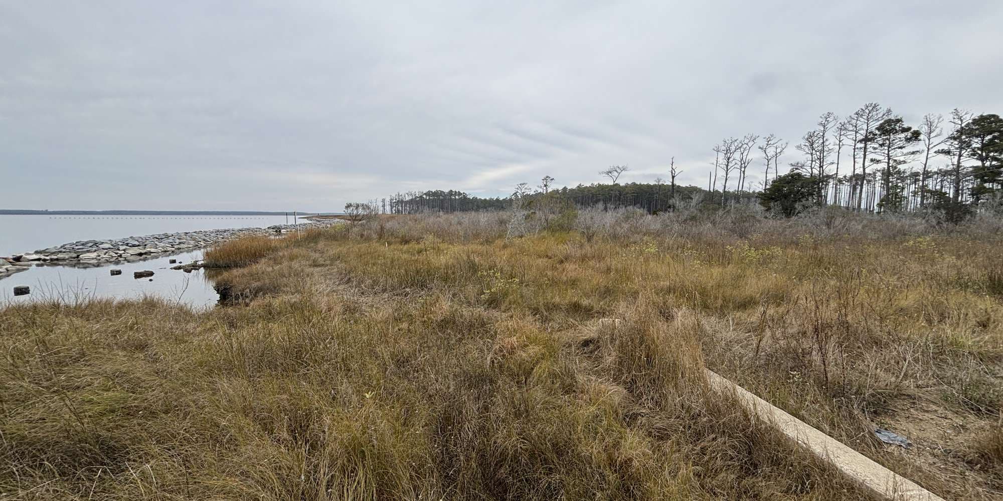 Second image to compare