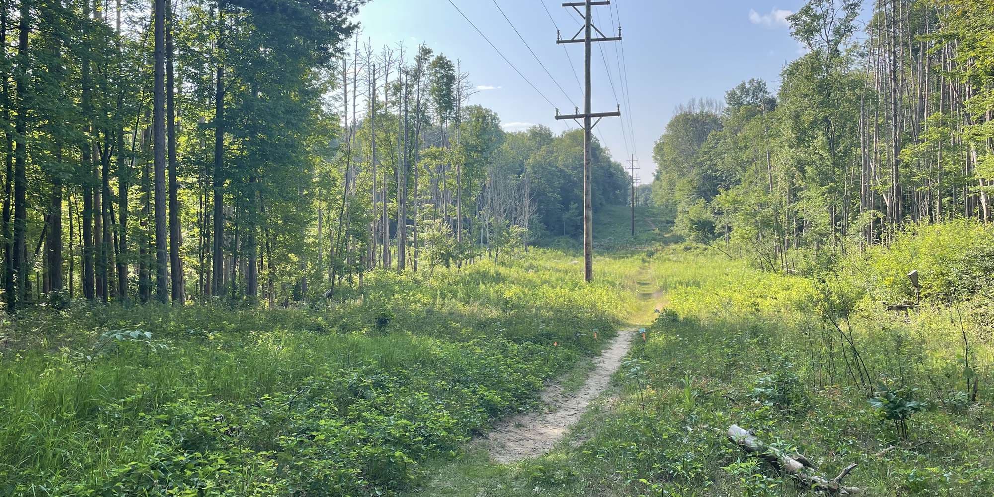 First image to compare