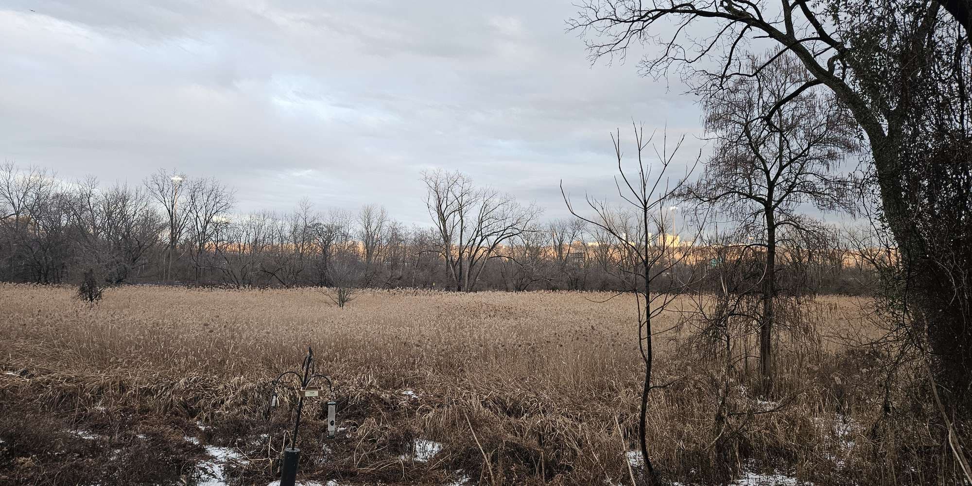 Second image to compare