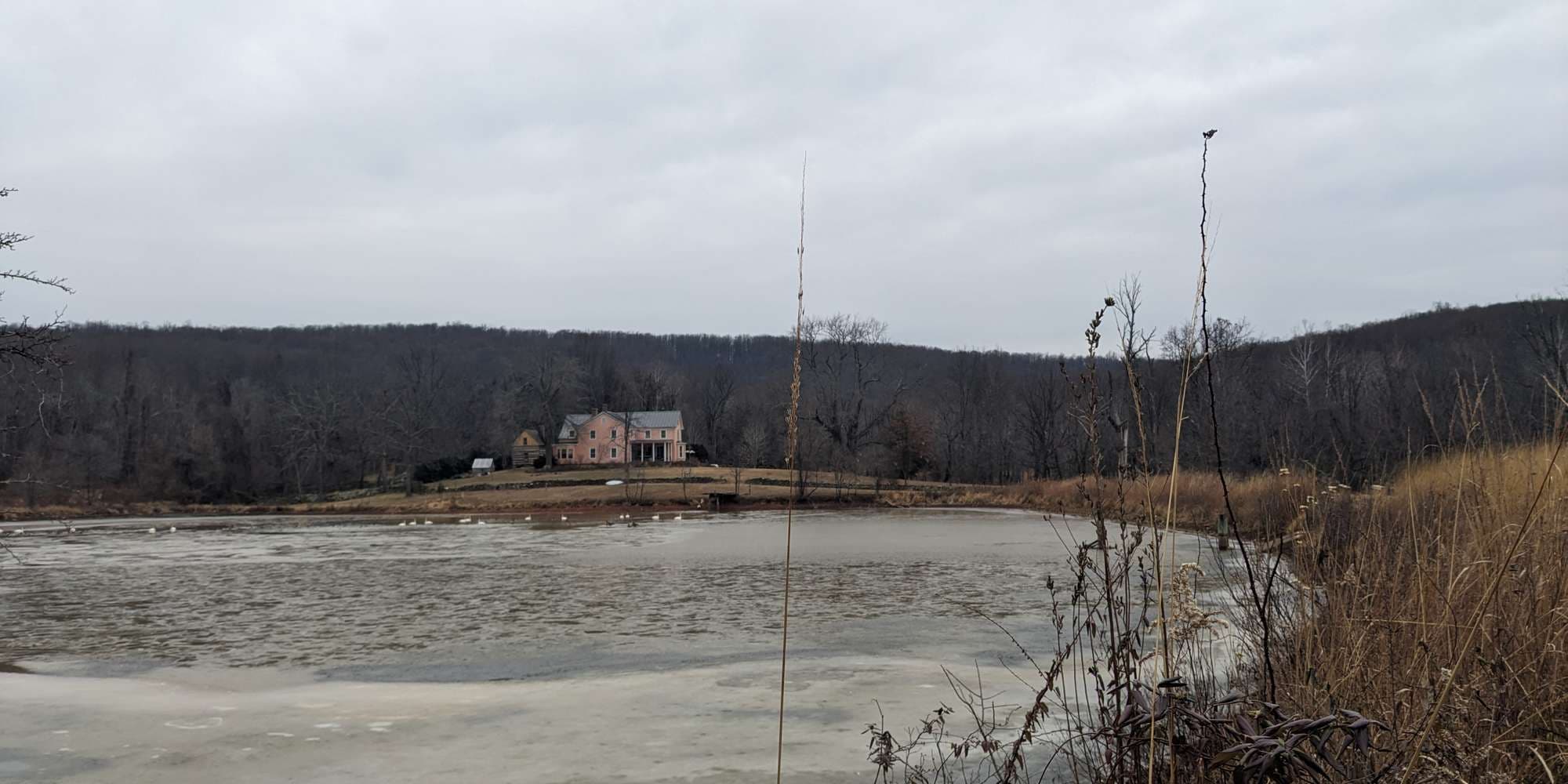 Second image to compare