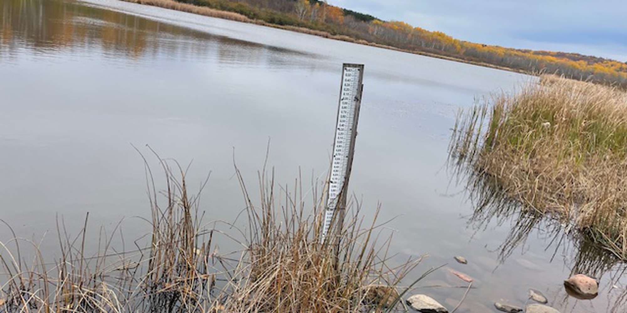 Second image to compare