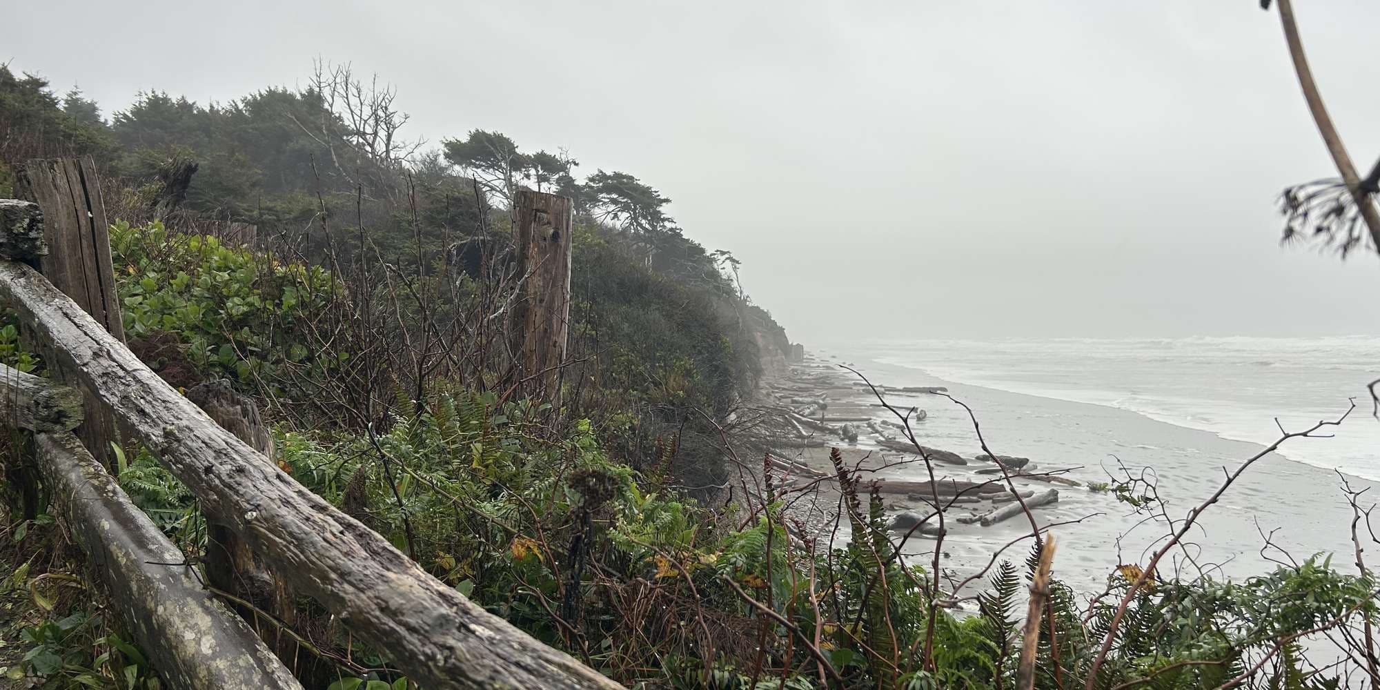 Second image to compare