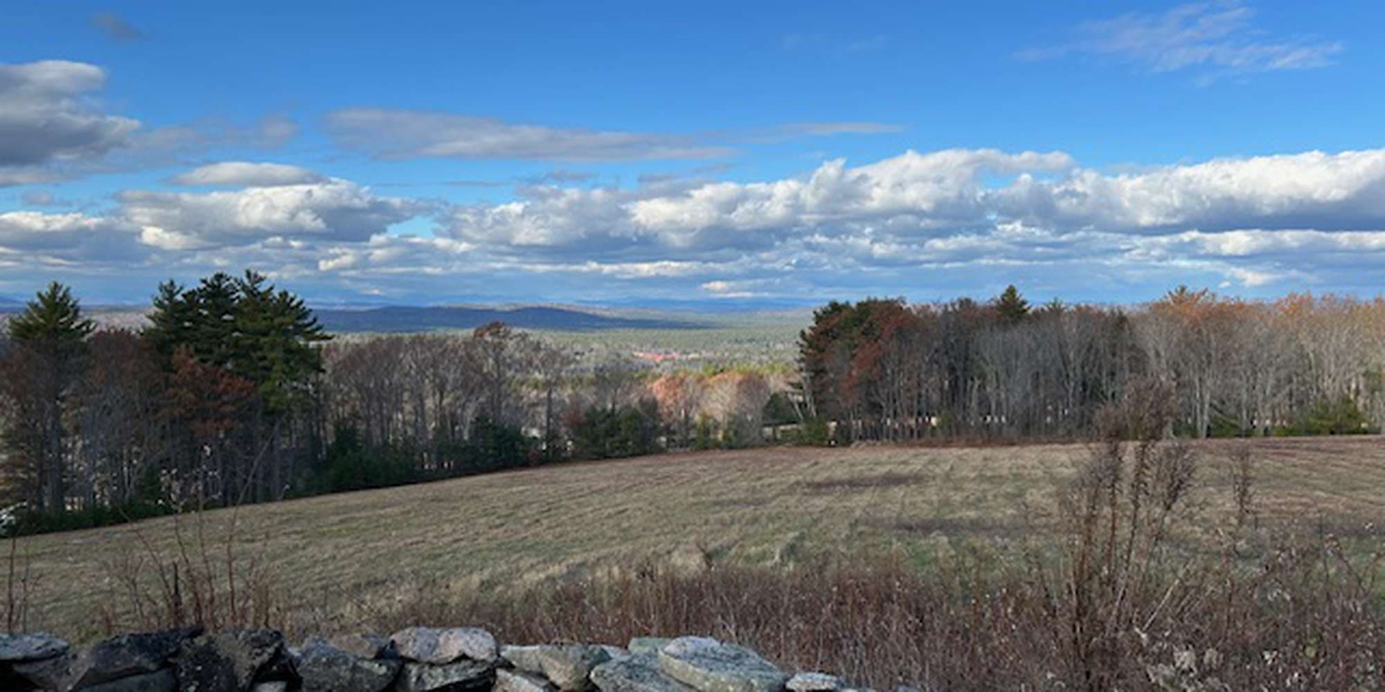 Second image to compare