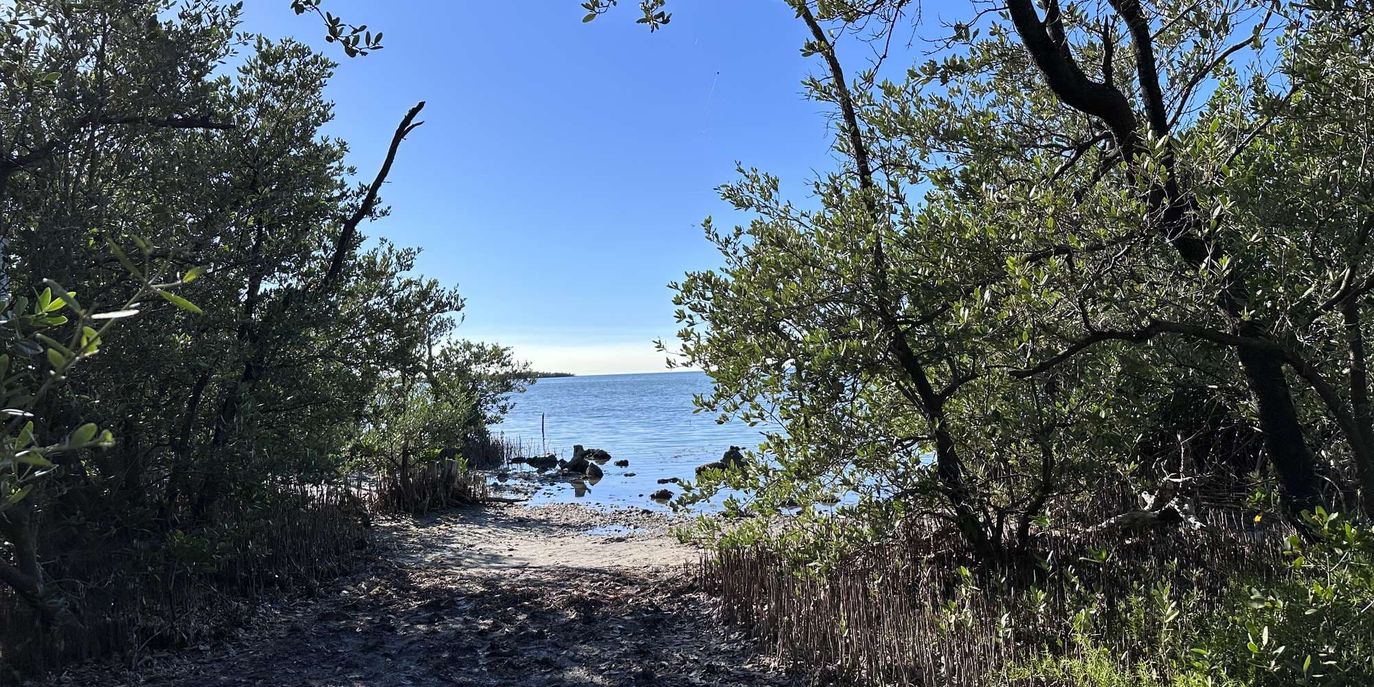 Second image to compare