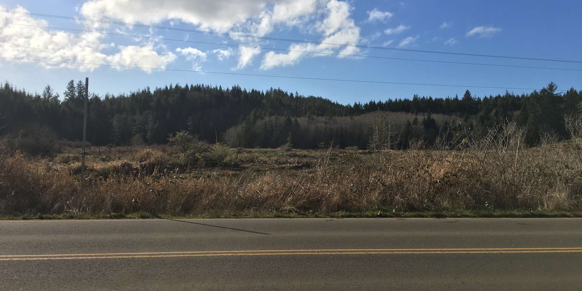 First image to compare