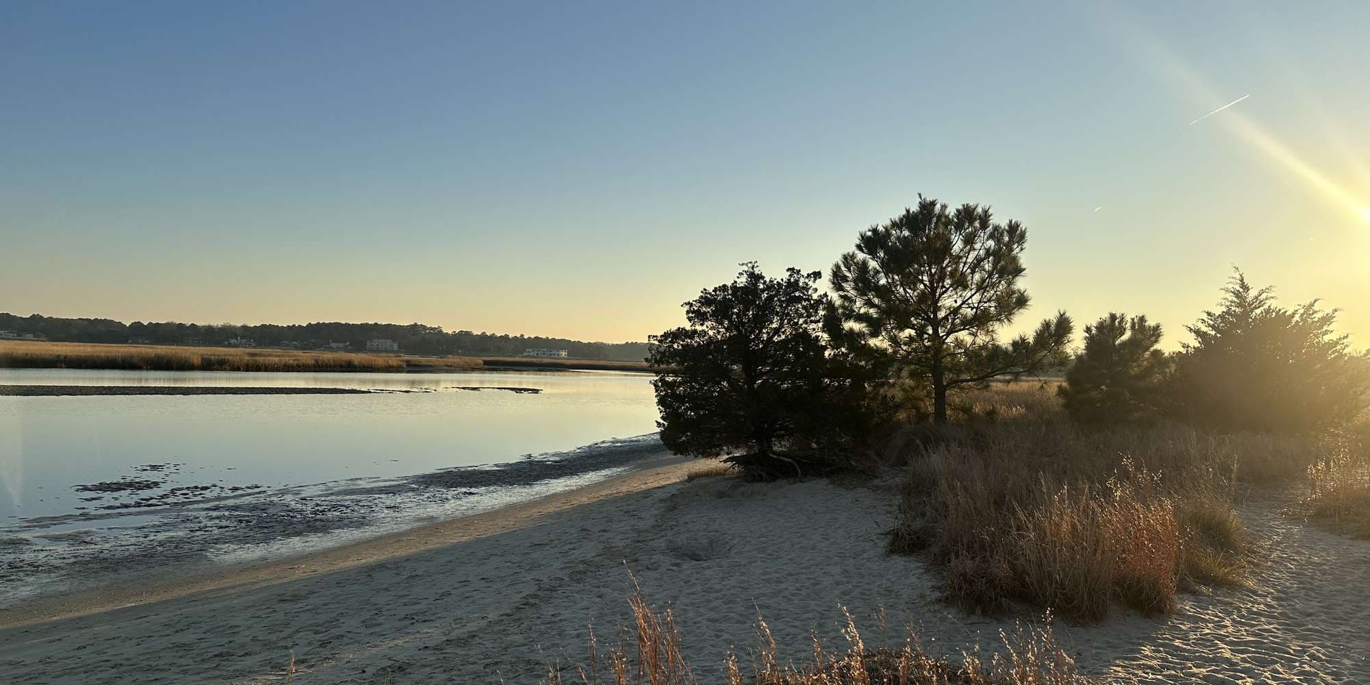 Second image to compare