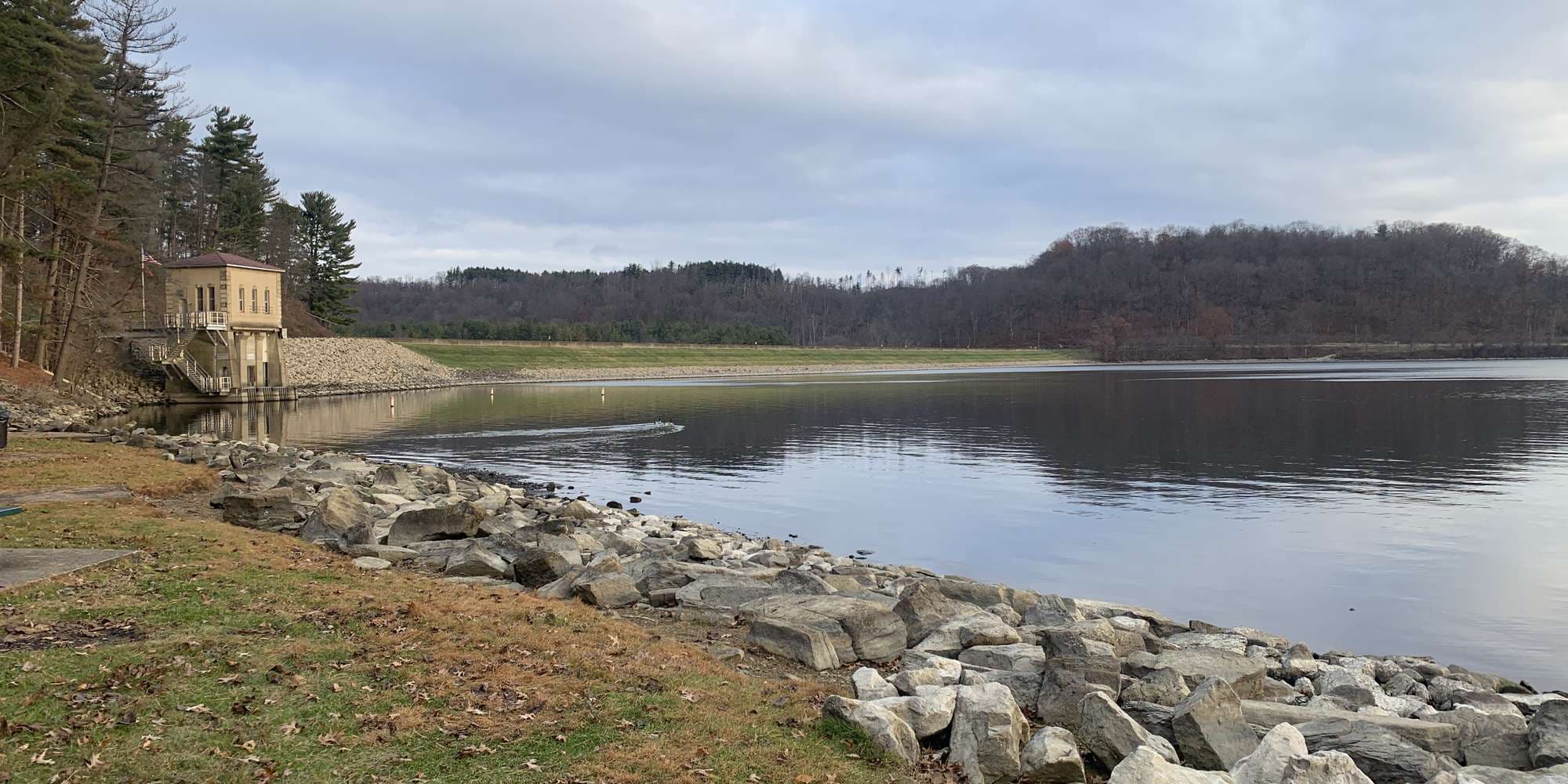 Second image to compare