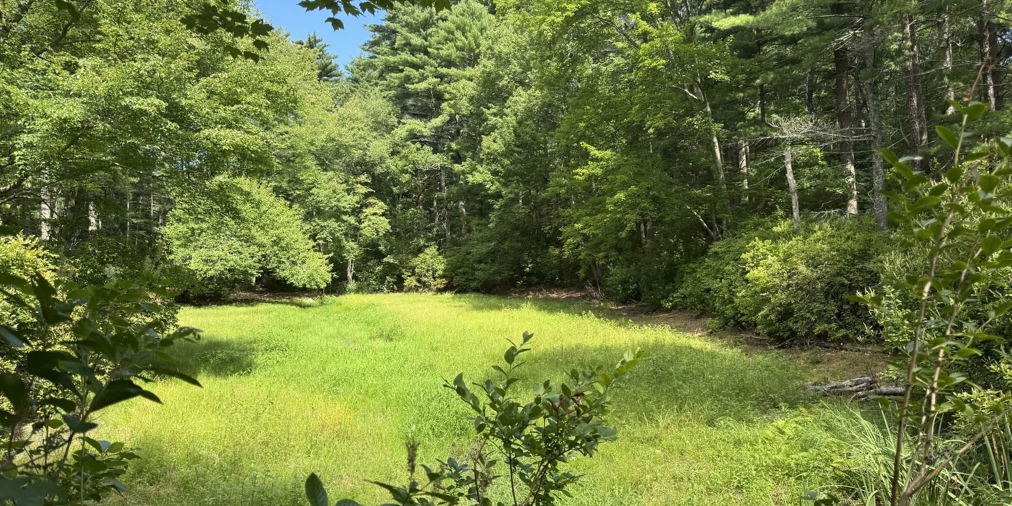 Second image to compare