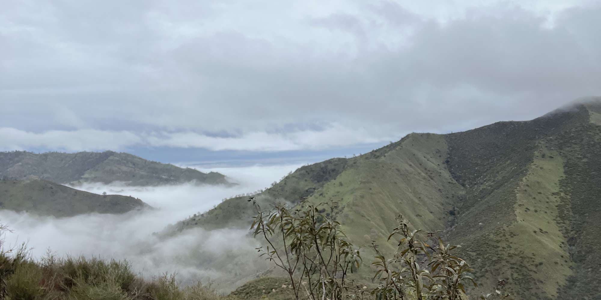 Second image to compare