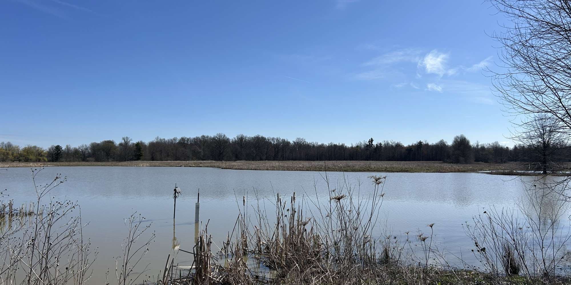 First image to compare