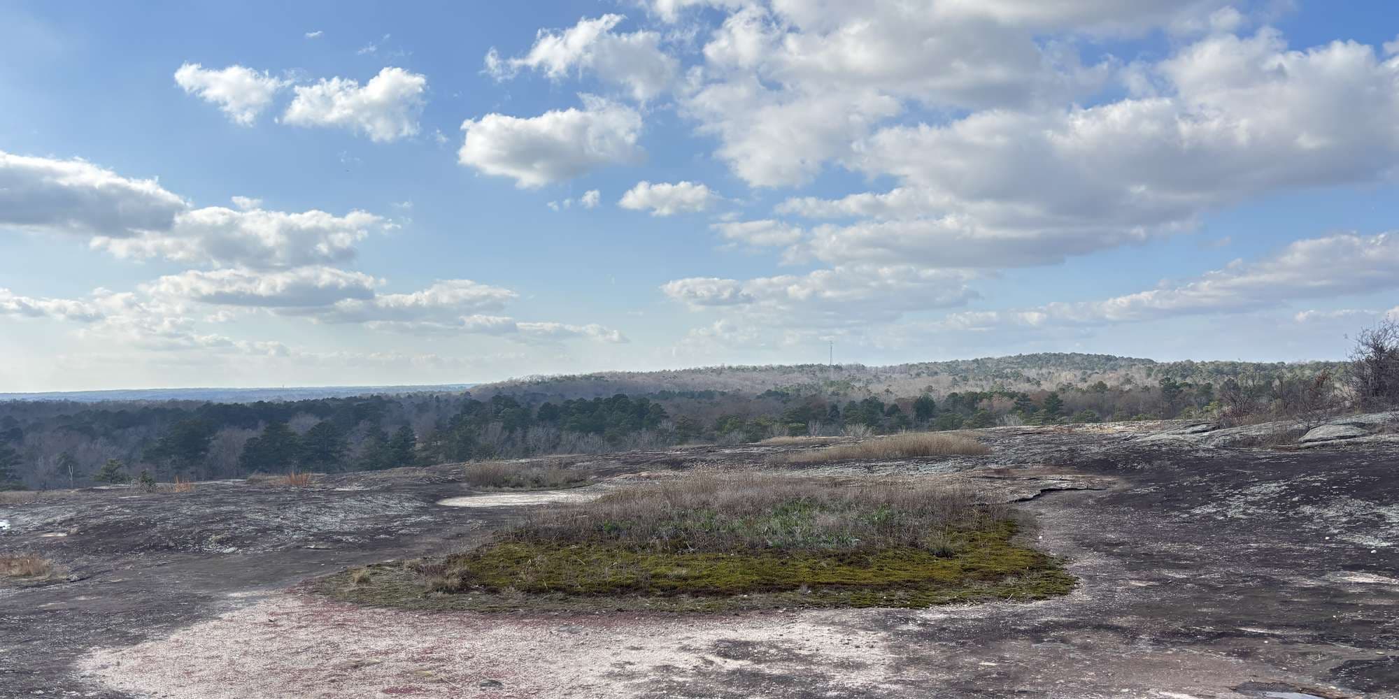 Second image to compare