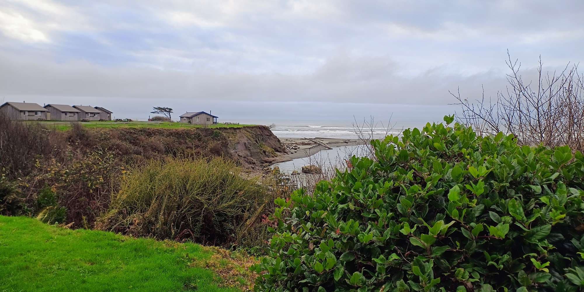 Second image to compare