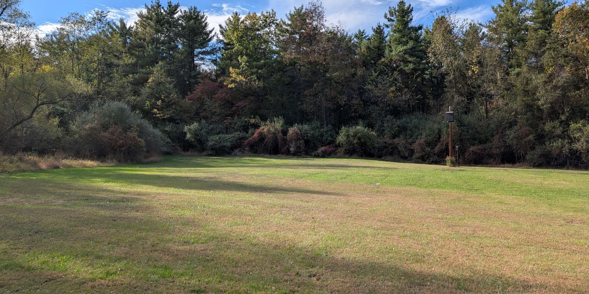 Second image to compare