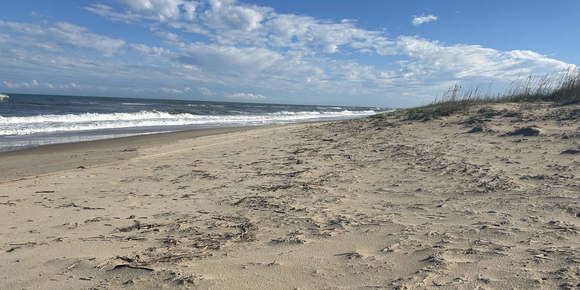 Second image to compare