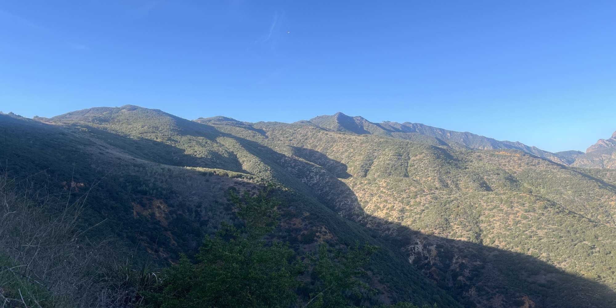 Second image to compare