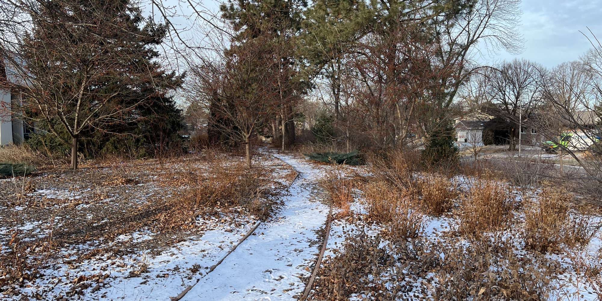 Second image to compare