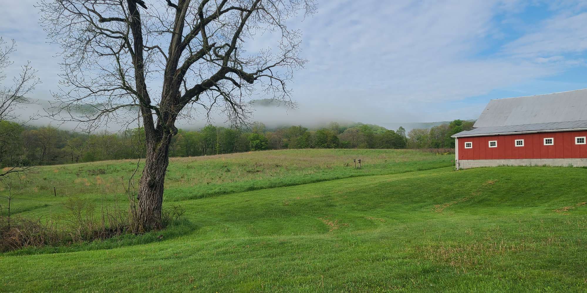 First image to compare