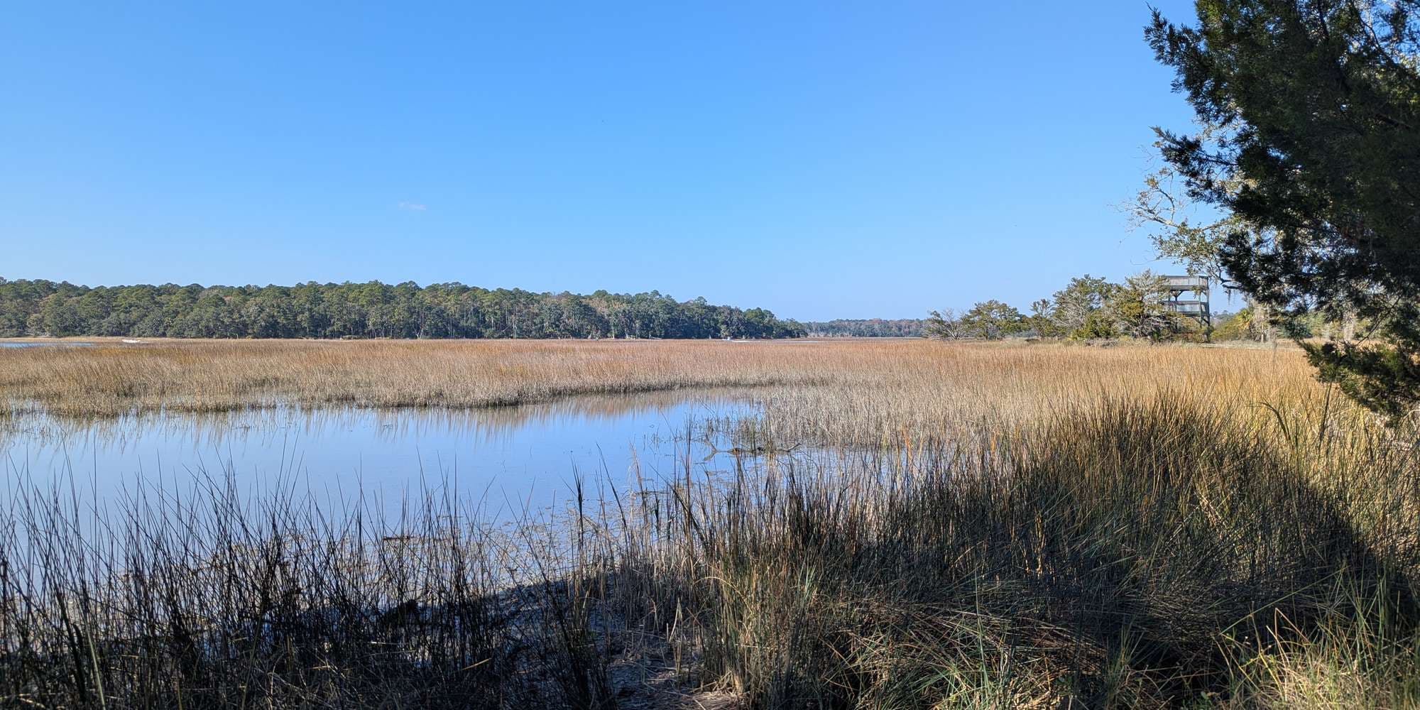 Second image to compare