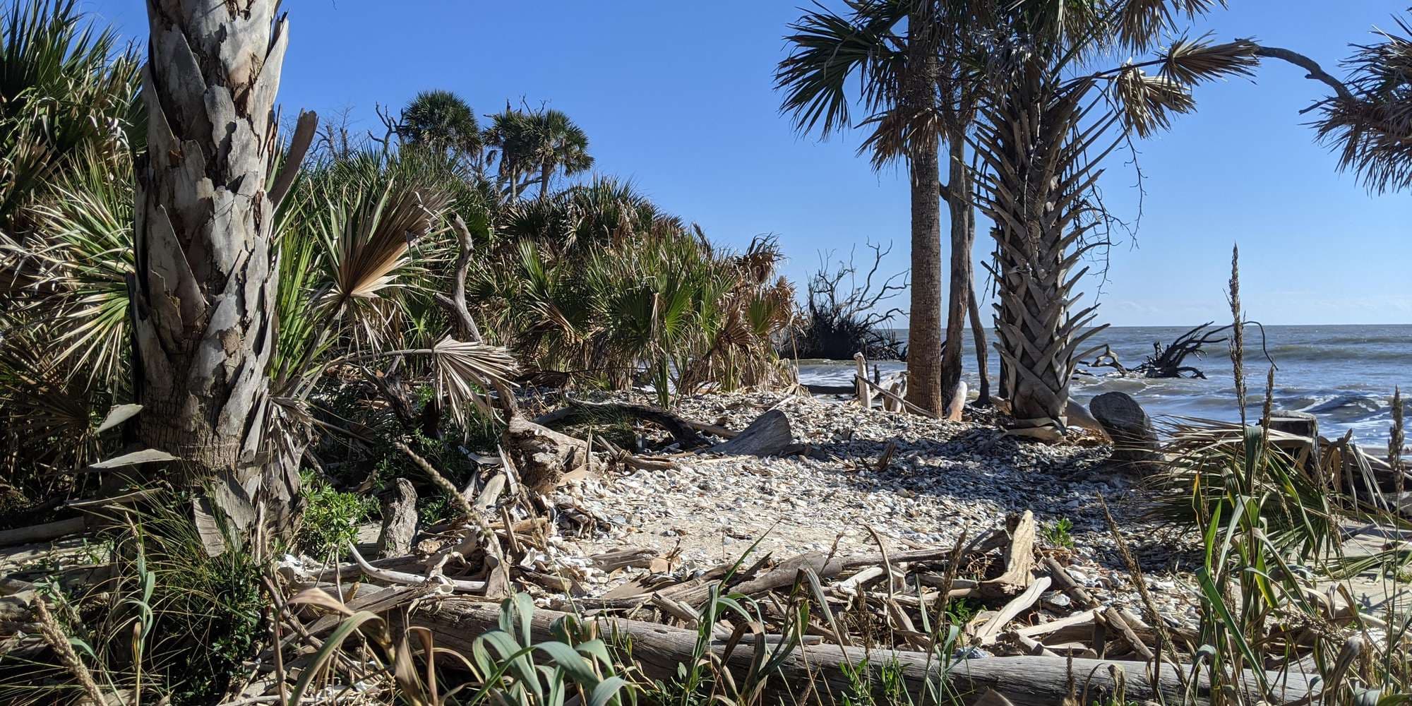 First image to compare