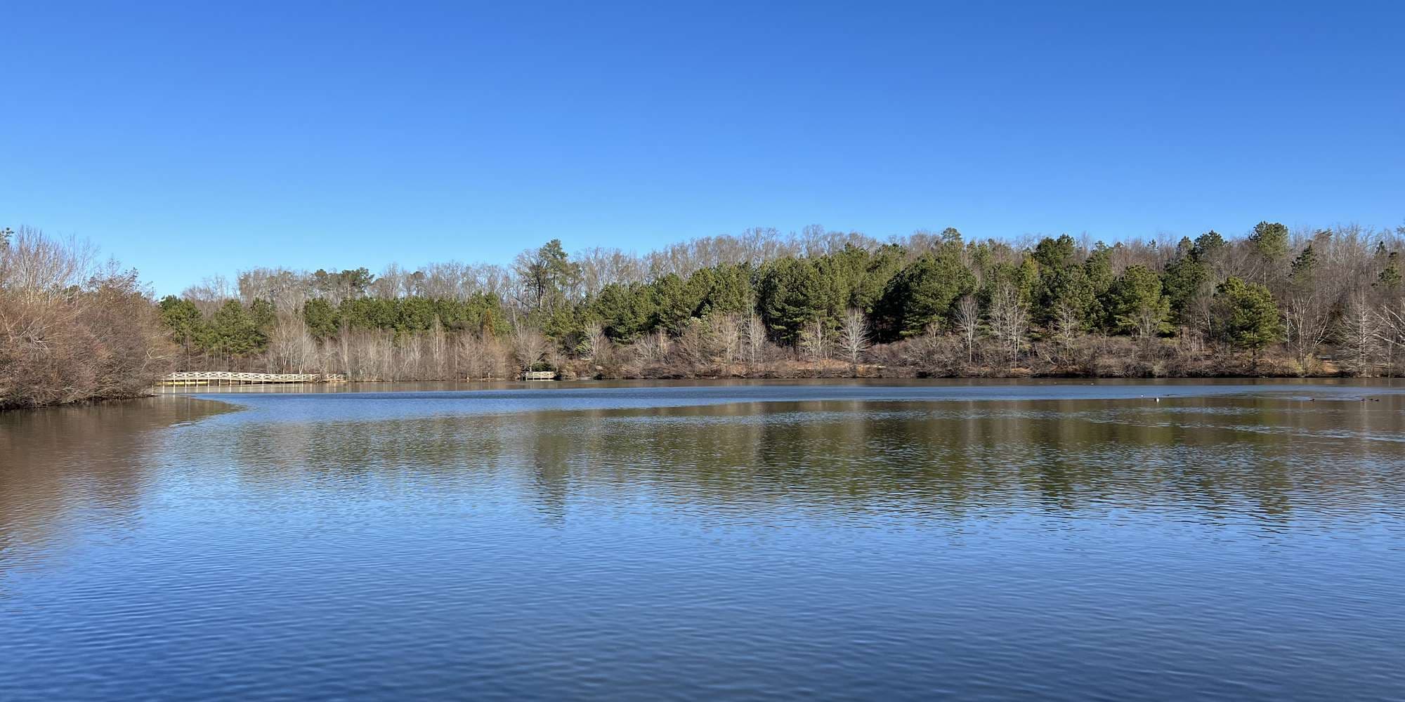 Second image to compare