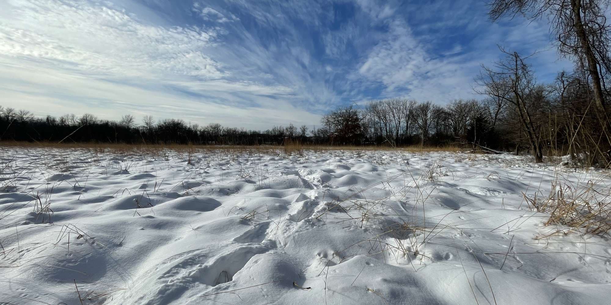 Second image to compare