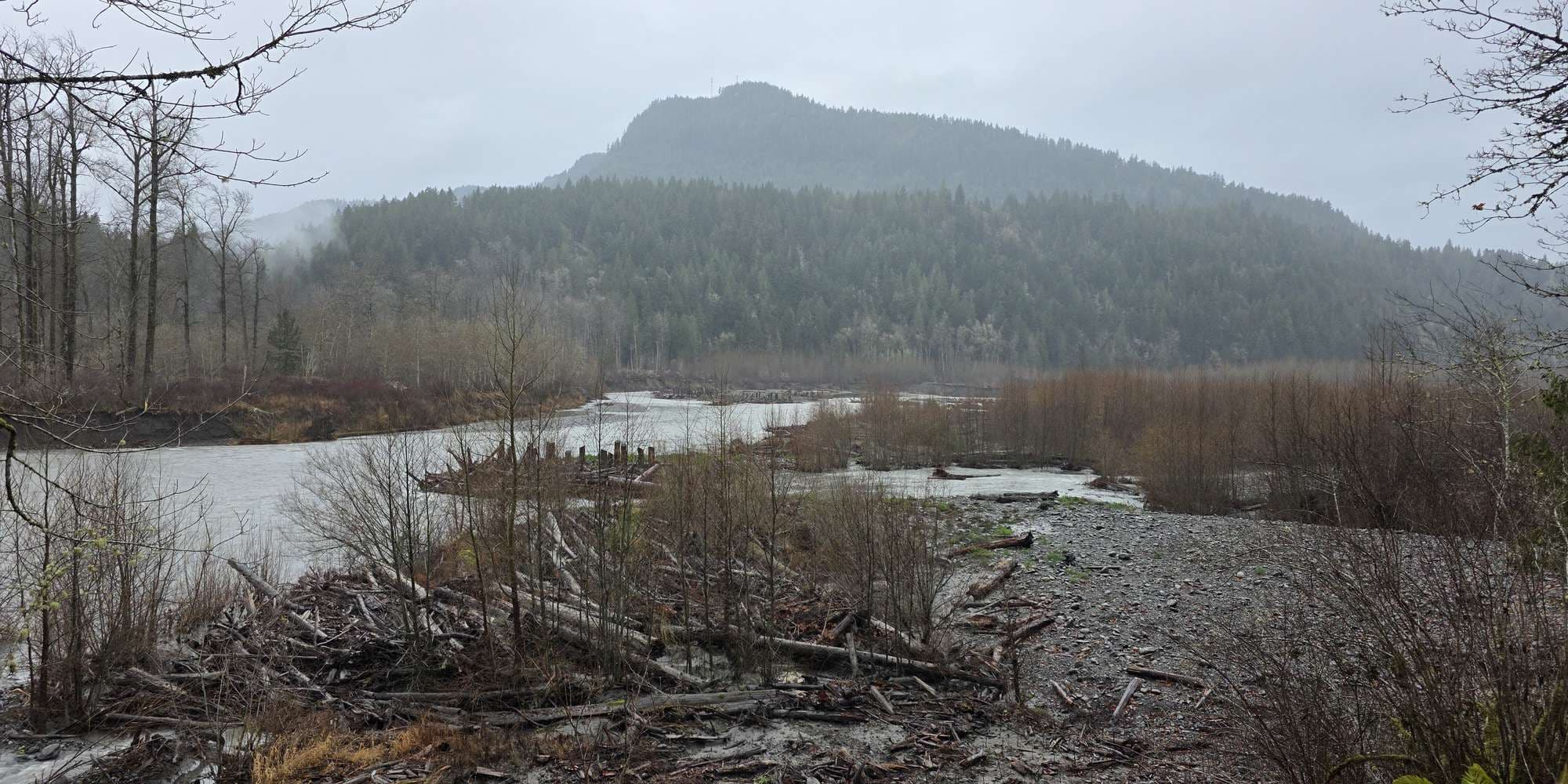 Second image to compare