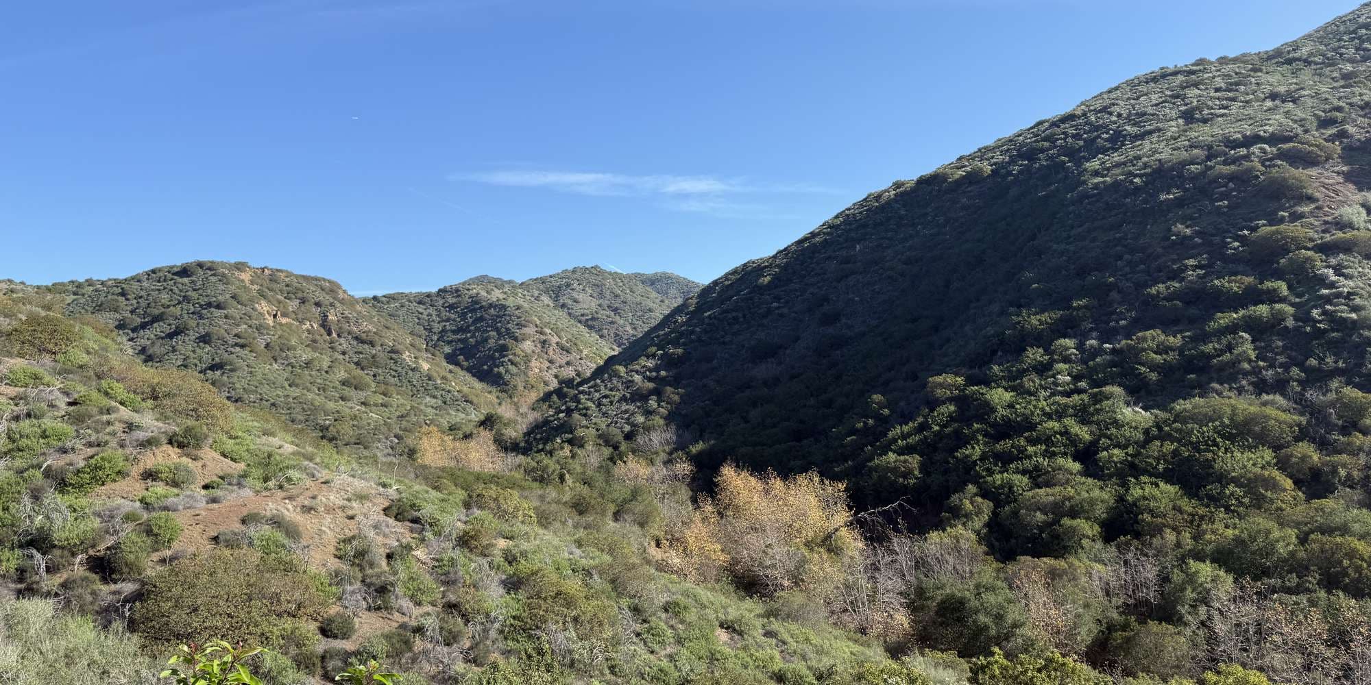 Second image to compare