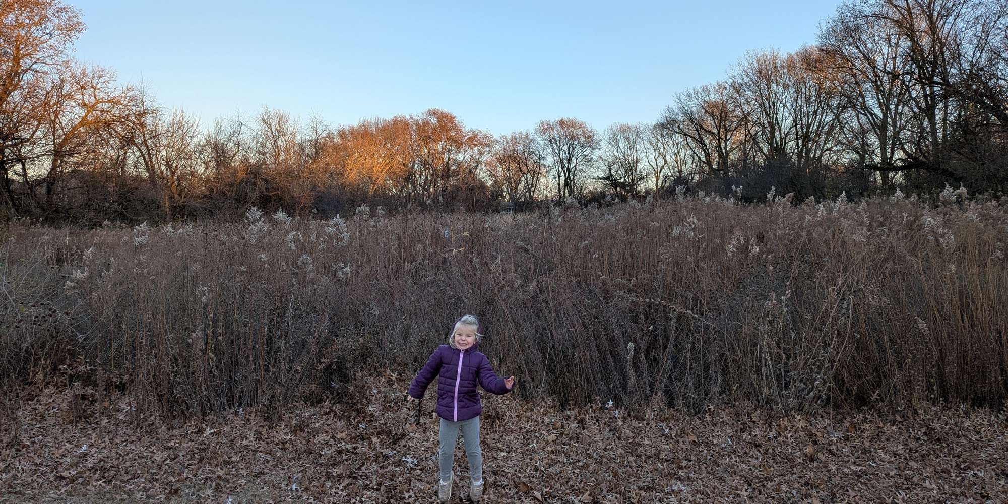 Second image to compare