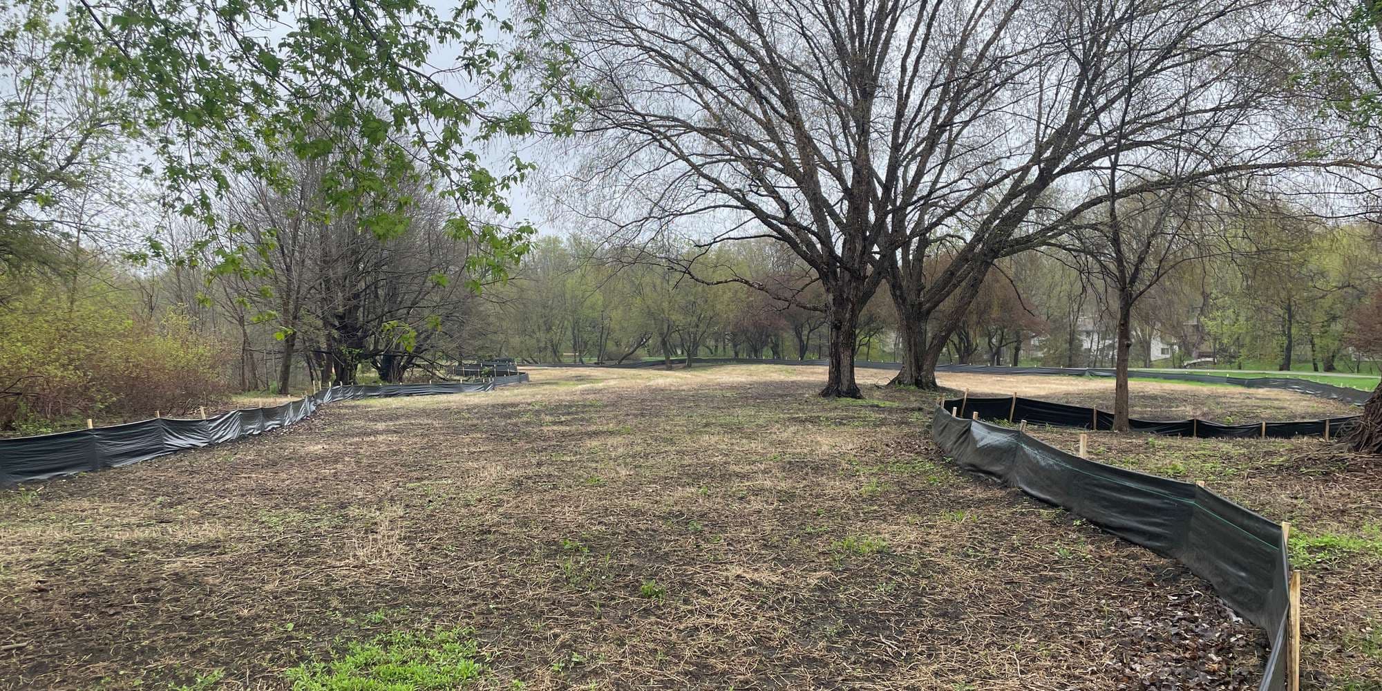 First image to compare